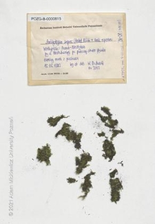 Brak tytułu