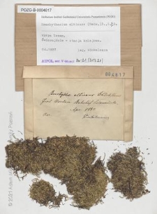 Brak tytułu