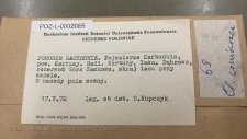 Brak tytułu