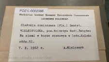 Brak tytułu