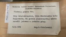 Brak tytułu