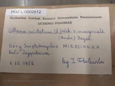 Brak tytułu