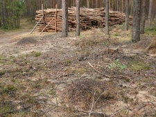 Drawieński Park Narodowy
