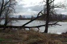 Park Narodowy Ujscie Warty