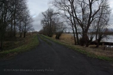 Park Narodowy Ujscie Warty
