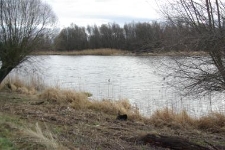 Park Narodowy Ujscie Warty