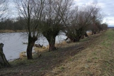 Park Narodowy Ujscie Warty