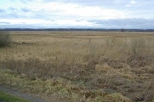 Park Narodowy Ujscie Warty