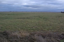 Park Narodowy Ujscie Warty