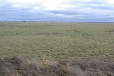 Park Narodowy Ujscie Warty