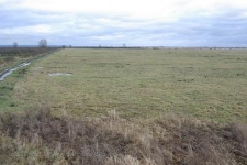 Park Narodowy Ujscie Warty