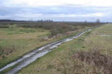 Park Narodowy Ujscie Warty