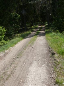 Rezerwat Małe i Duze Sitno