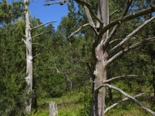 Rezerwat Małe i Duze Sitno