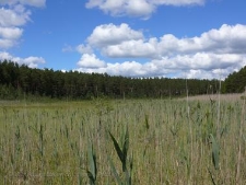 Rezerwat Małe i Duze Sitno