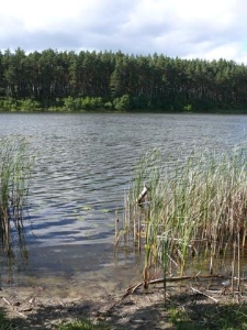 Rezerwat Małe i Duze Sitno