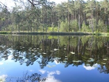 Rezerwat Małe i Duze Sitno