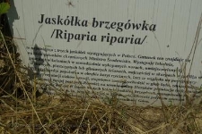 Użytek Ekologiczny Jask&oacute;łcza Skarpa