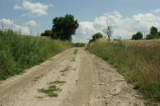 Użytek Ekologiczny Jaskółcza Skarpa