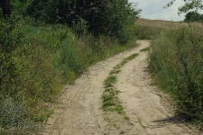 Użytek Ekologiczny Jaskółcza Skarpa