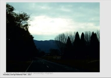 Park Narodowy Dorrigo wpisany na listę Światowego Dziedzictwa Przyrody