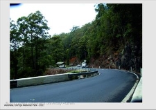 Park Narodowy Dorrigo wpisany na listę Światowego Dziedzictwa Przyrody