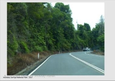 Park Narodowy Dorrigo wpisany na listę Światowego Dziedzictwa Przyrody