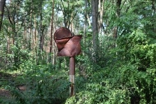 Rezerwat Gogulec 2019