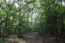 Rezerwat Gogulec 2019