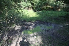 Rezerwat Gogulec 2019