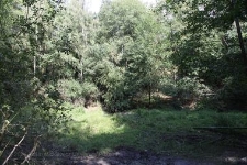 Rezerwat Gogulec 2019