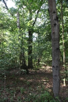 Rezerwat Gogulec 2019