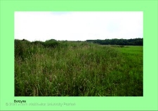 Stanowisko ślimaka winniczka w woj. wielkopolskim - BERZYNA