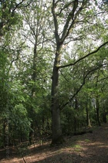 Rezerwat Gogulec 2019