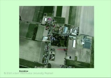 Stanowisko ślimaka winniczka w woj. wielkopolskim - BOCZK&Oacute;W