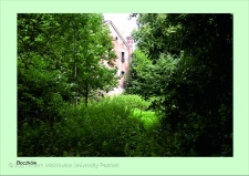 Stanowisko ślimaka winniczka w woj. wielkopolskim - BOCZKÓW