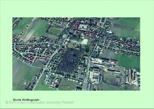 Stanowisko ślimaka winniczka w woj. wielkopolskim - BOJANOWO