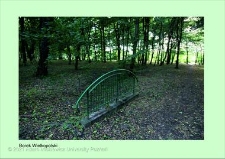 Stanowisko ślimaka winniczka w woj. wielkopolskim - BOJANOWO