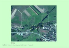 Stanowisko ślimaka winniczka w woj. wielkopolskim - BRALIN