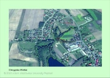 Stanowisko ślimaka winniczka w woj. wielkopolskim - CHRZYPSKO WIELKIE