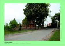 Stanowisko ślimaka winniczka w woj. wielkopolskim - DZIEKANOWICE