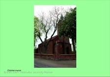 Stanowisko ślimaka winniczka w woj. wielkopolskim - DZIEKANOWICE