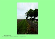 Stanowisko ślimaka winniczka w woj. wielkopolskim - DZIEKANOWICE