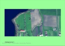 Stanowisko ślimaka winniczka w woj. wielkopolskim - DZIEKANOWICE