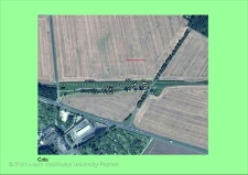 Stanowisko ślimaka winniczka w woj. wielkopolskim - GOLA