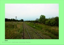 Stanowisko ślimaka winniczka w woj. wielkopolskim - GOLA