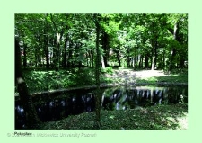 Stanowisko ślimaka winniczka w woj. wielkopolskim - PAKOSŁAW