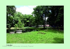 Stanowisko ślimaka winniczka w woj. wielkopolskim - PAKOSŁAW