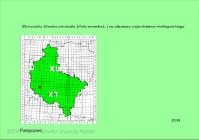 Stanowisko ślimaka winniczka w woj. wielkopolskim - PARZĘCZEWO
