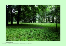 Stanowisko ślimaka winniczka w woj. wielkopolskim - PARZĘCZEWO